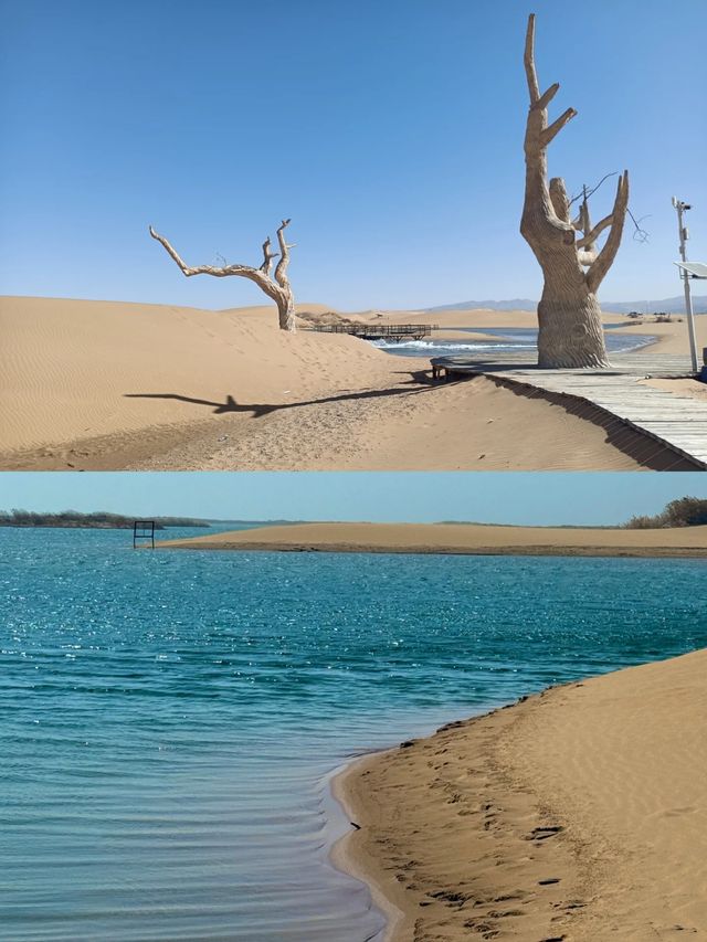 在烏海感受一半沙漠一半海