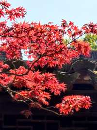 世界文化遺產，中國十大風景名勝之一