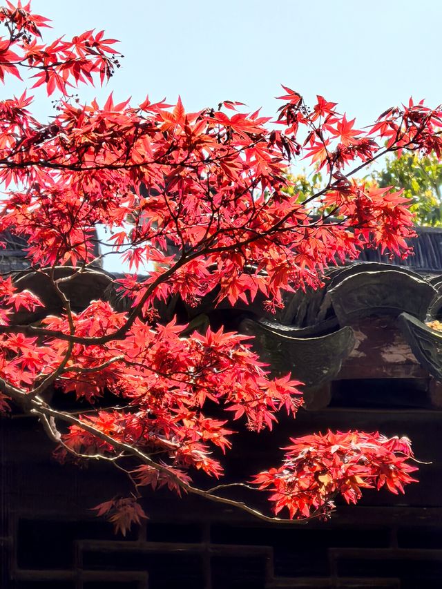 世界文化遺產，中國十大風景名勝之一
