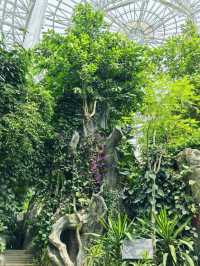 鄭州｜植物園｜中原綠意秘境與自然奇觀