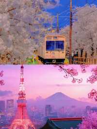 5天4夜精華遊，解鎖傳統與未來的終極碰撞 