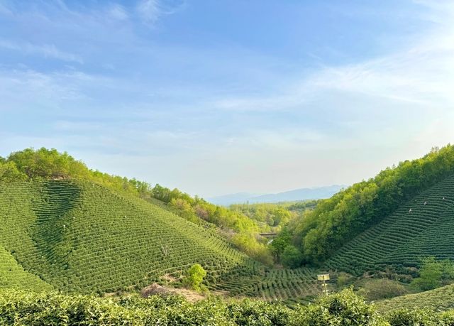 信陽｜河南私藏氧吧指南｜同閨密一齊投入山水之間
