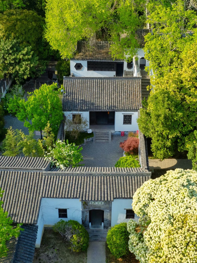 江蘇高郵，一個被低估的小眾旅行目的地‼