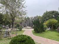 陽春名樹公園｜走進植物的日常，也走進自己心裡的小森林》