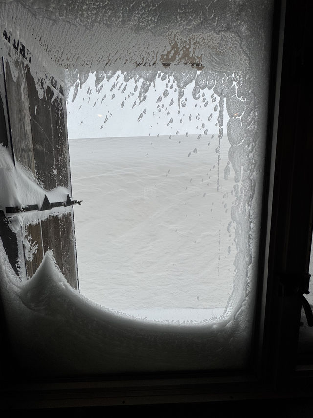 立山黑部：從暴風雪到晴空萬里的奇妙旅程