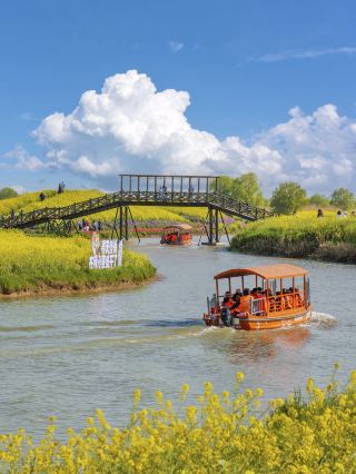Three Years of Travel: I Found the Prose Town from Wang Zengqi's Writings