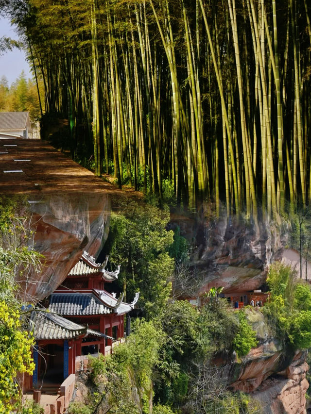 蜀南竹海真的值得去嗎？這份避坑指南告訴你答案！