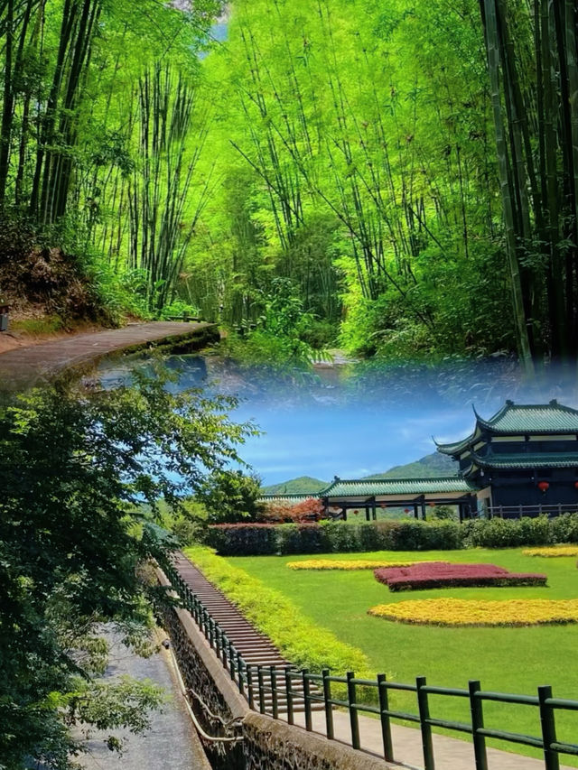 蜀南竹海真的值得去嗎？這份避坑指南告訴你答案！