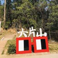 廣州六片山｜都市中的自然秘境