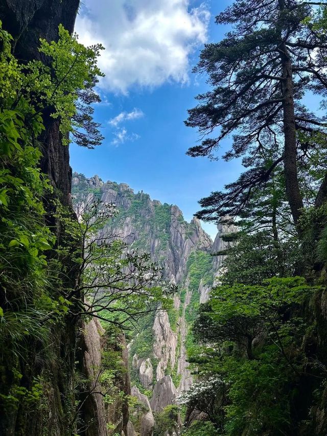 會當凌絕頂，一覽眾山小，一生必須去一次