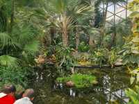 Dream Day at Chenshan Botanical Gardens