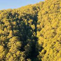 Refreshing Views in Atok, Benguet