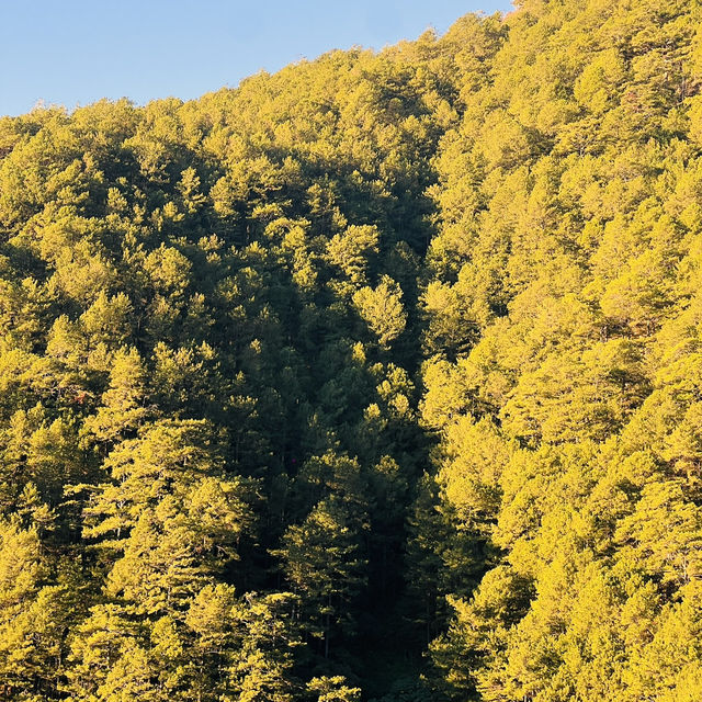 Refreshing Views in Atok, Benguet