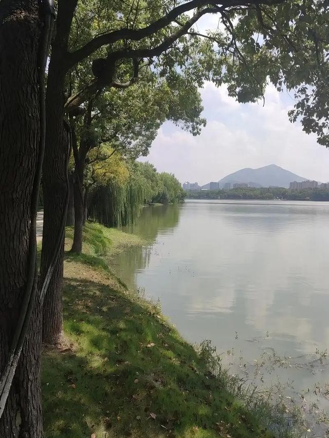 銅陵旅遊必備攻略（超全）