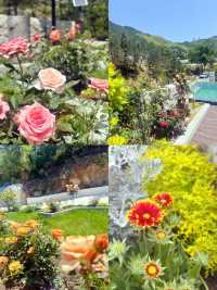 終於明白點解大家嚟天柱山都住高級民宿...