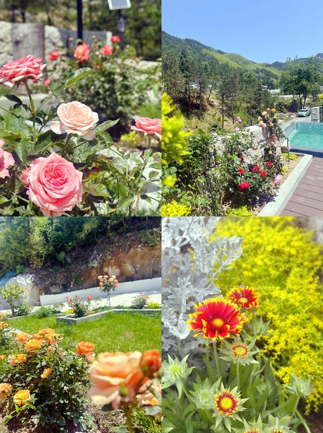 終於明白點解大家嚟天柱山都住高級民宿...