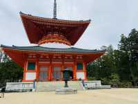 壇上伽藍的春日：在高野山相遇