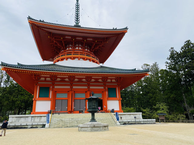 壇上伽藍的春日：在高野山相遇