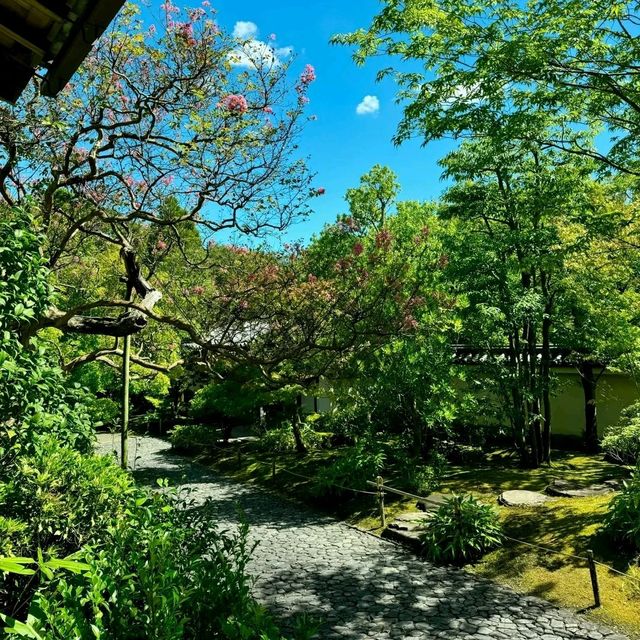 關西秘境！姬路城旁的日式園林天花板🌿