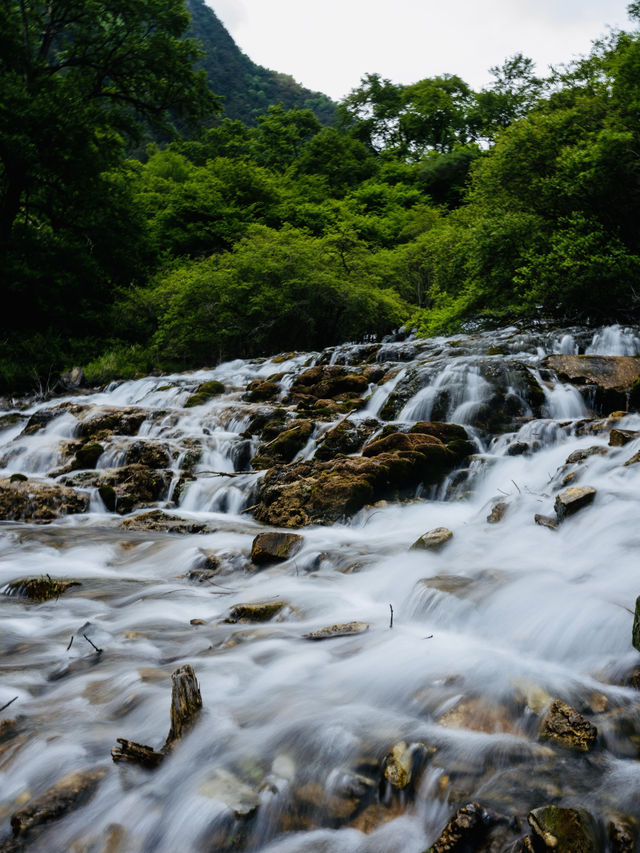 各位朋友！夏天嘅川西旅行天花板又有新玩法啦！