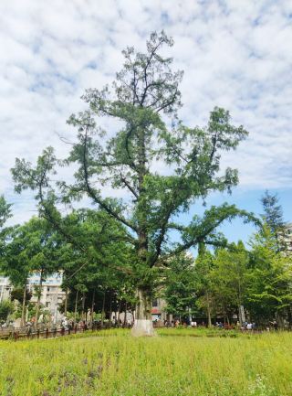 Head to Lichuan Sumadang for a 22°C summer encounter