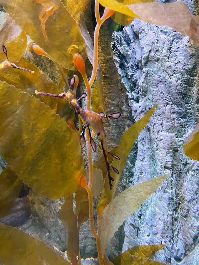 端午唔塞車帶娃躺平式度假 端午唔塞車帶娃躺平式度假