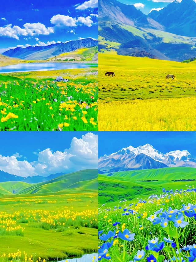四川格聂秘境攻略 神山聖湖，一眼萬年