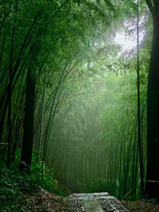 【杭州旅遊必備】九溪十八澗徒步路線，一篇搞掂！