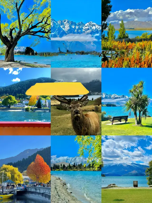 "New Zealand – The Ultimate Sanctuary to Escape the Noise, Where Your Soul Breathes Freely"