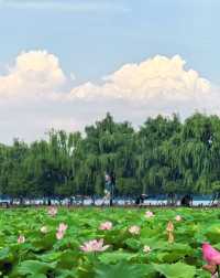 7日暢遊杭州-蘇州-上海 玩轉不停歇