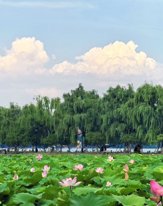 7日暢遊杭州-蘇州-上海 玩轉不停歇