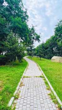 夏日暢遊煙台牟平沁水河口國家濕地公園