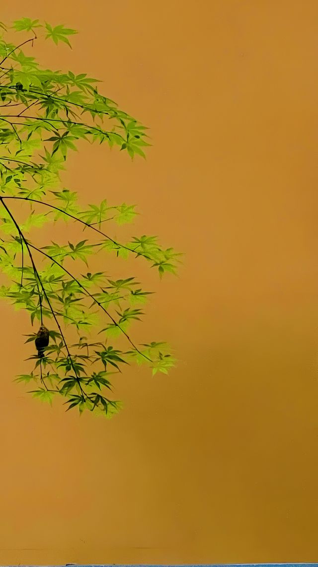 《永福禪寺嘅禪意生活體驗如何？》