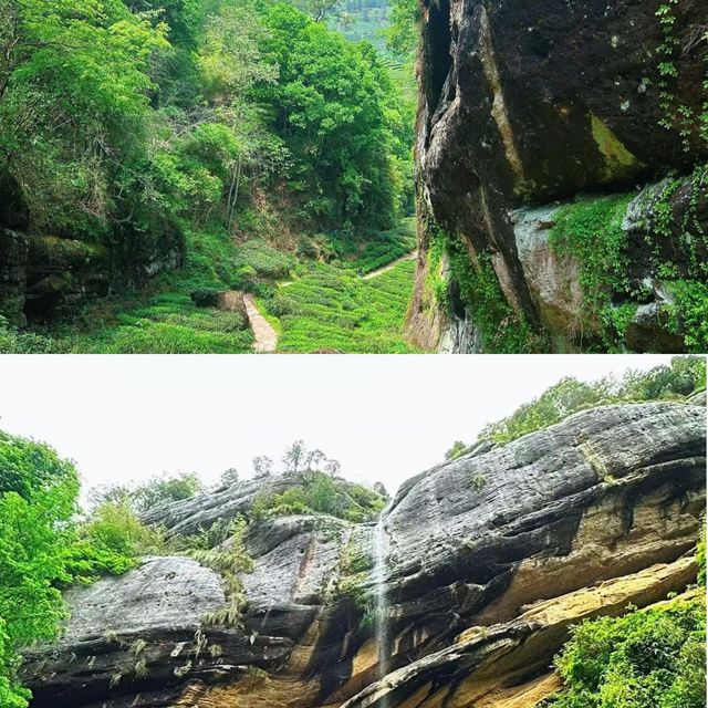 九曲溪竹筏漂流一票難求！網友：早起排隊都值，每一幀都似CG畫面