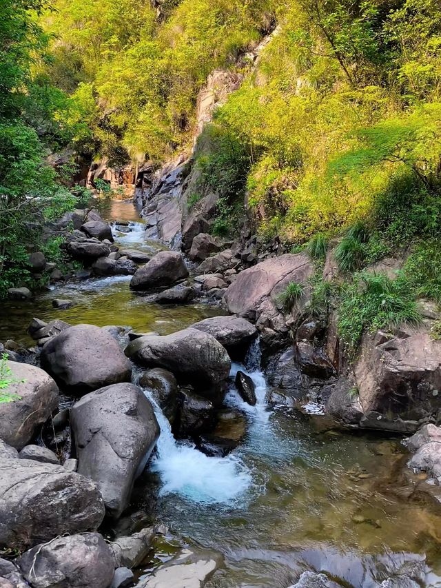 桐廬大奇山—後悔而家先發現呢個旅遊聖地