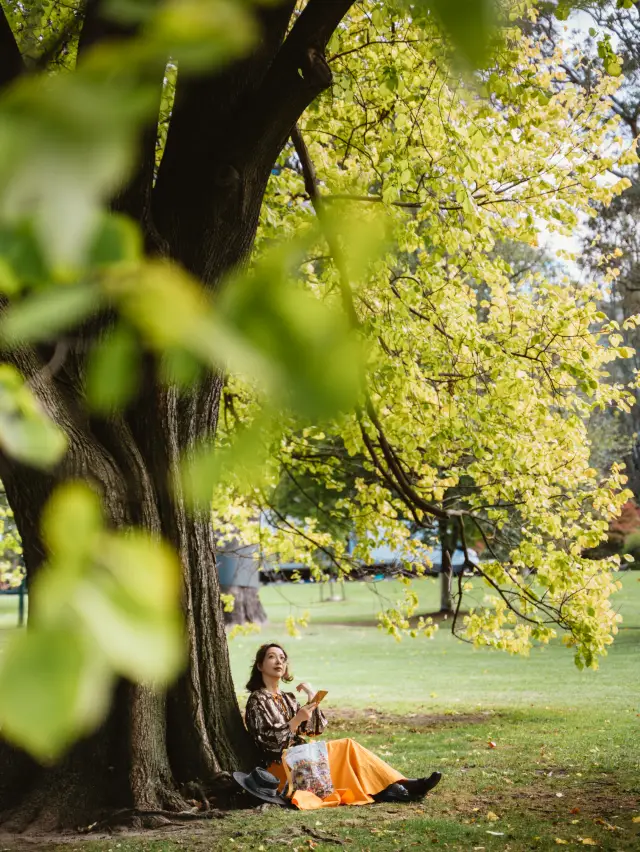 I want to ask Melburnians, why is there such a carefree sense of freedom that seems to disregard everything else