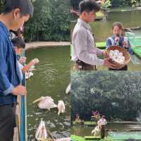 廣州長隆：與成群動物共度難忘親子週末