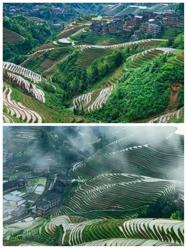 剛從龍脊梯田返嚟，講啲難聽嘅大實話
