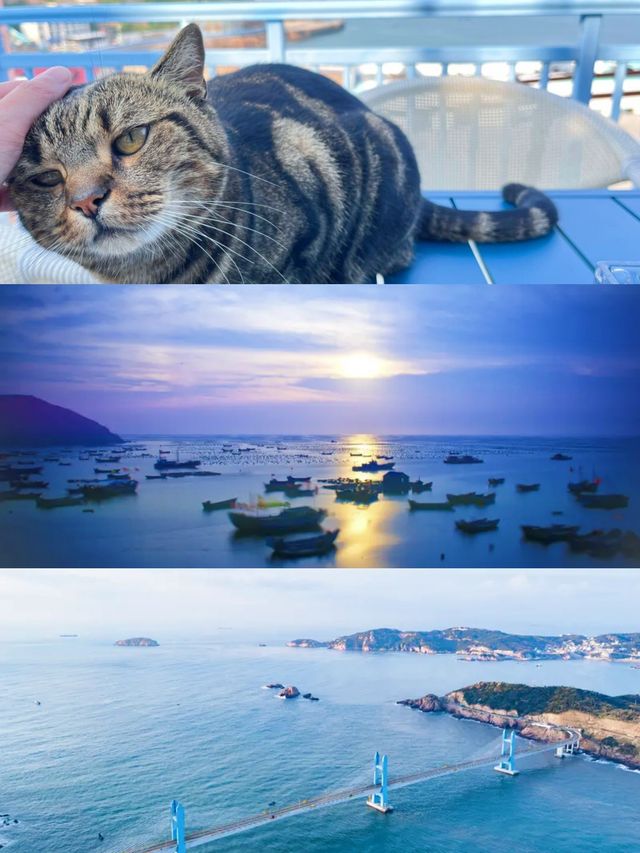 上海周邊親子遊寶藏，嵊泗島避暑大揭秘