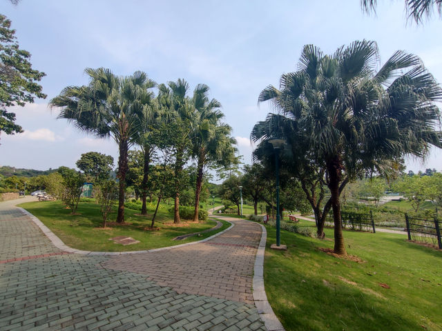 《河畔小憩，遇見公明的慢調時光》