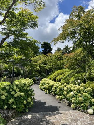 Hakone's Hidden Gem: French Garden
