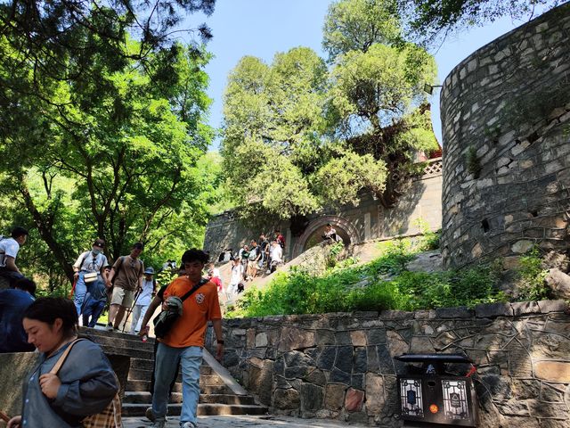 挑戰全程徒步紅門入，紅門出嘅泰山之旅