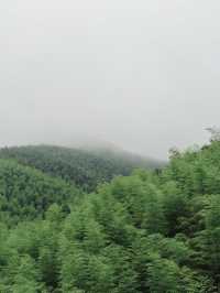 《梵隱避世：做一日放空的自己》