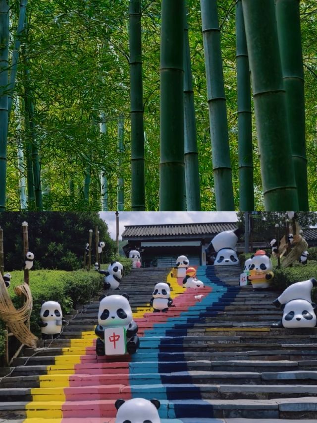 南山竹海已回，說點難聽的大實話