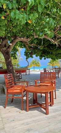 Paradise on Earth: Sun, Sea, and Luxury