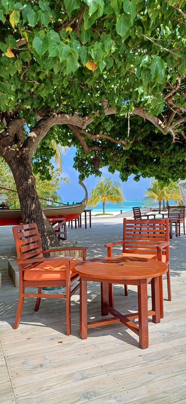 Paradise on Earth: Sun, Sea, and Luxury