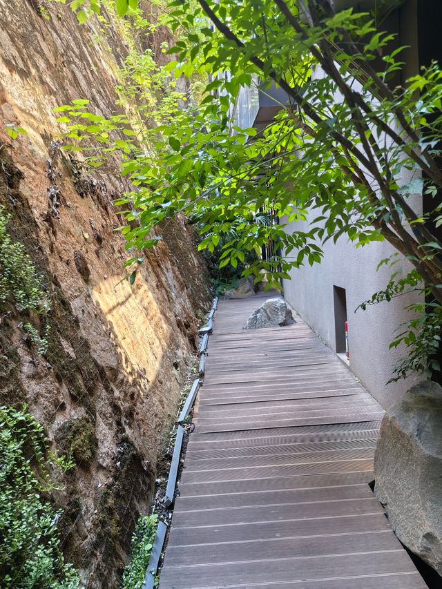 美麗嘅人工瀑布，秘境綠意庭院