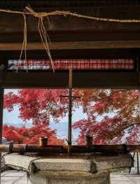 日本紅葉3大區穩妥觀賞期指南來啦