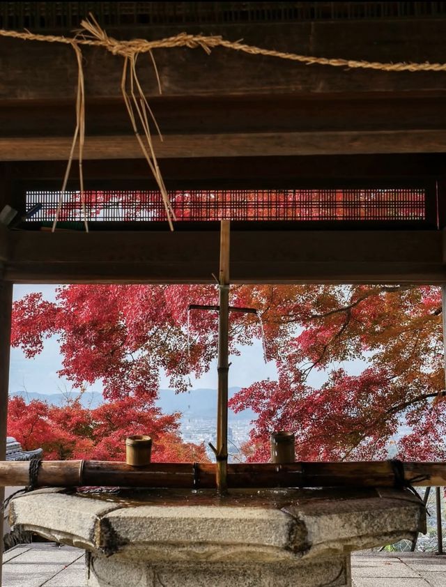 日本紅葉3大區穩妥觀賞期指南來啦