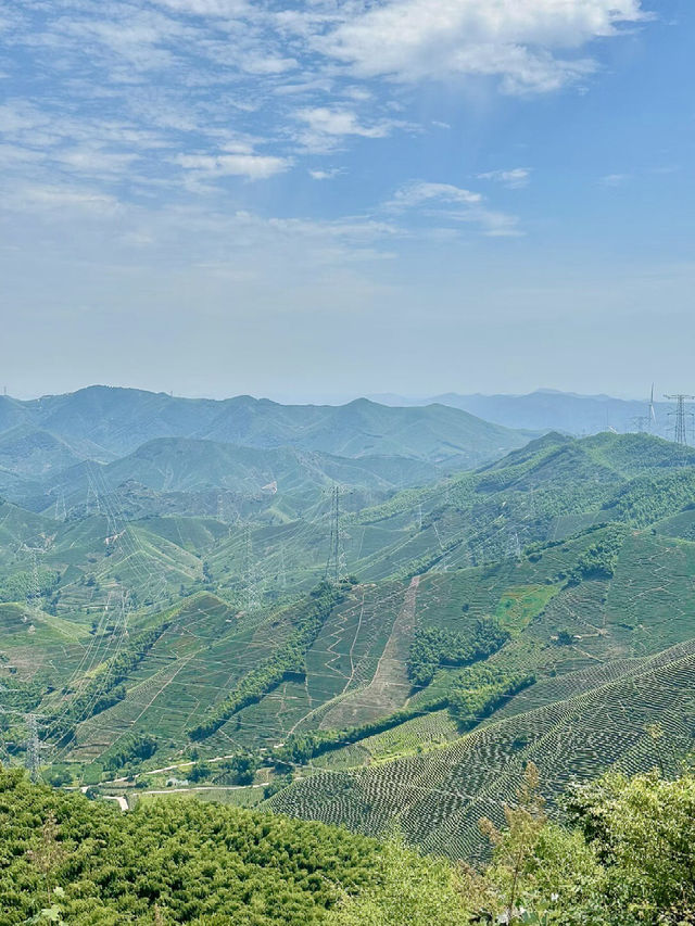 九天雲嶺：與風對話的壯闊旅程